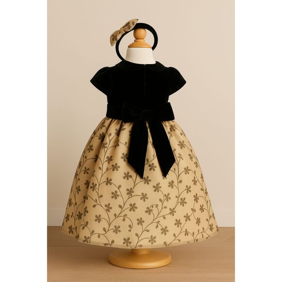 Biscotti Girls Velvet Top Floral Tulle Party Dress with Headband Size 2T - Picture 5 of 10